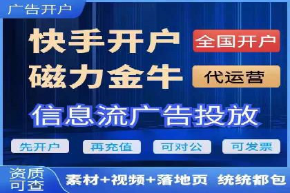 SEM推广优化策略：成功案例解析